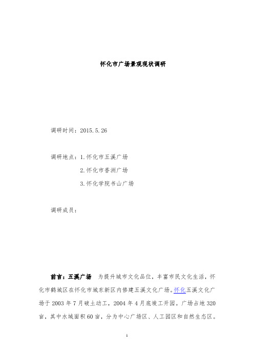 怀化市广场调研