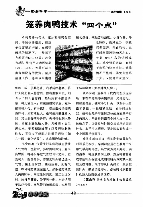 笼养肉鸭技术“四个点”