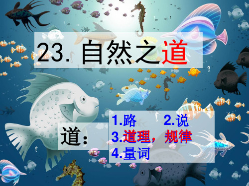 六年级上册语文课件-课文23 自然之道｜语文S版 (共23张PPT)