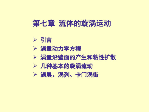 高等流体-第七讲,流体的旋涡运动