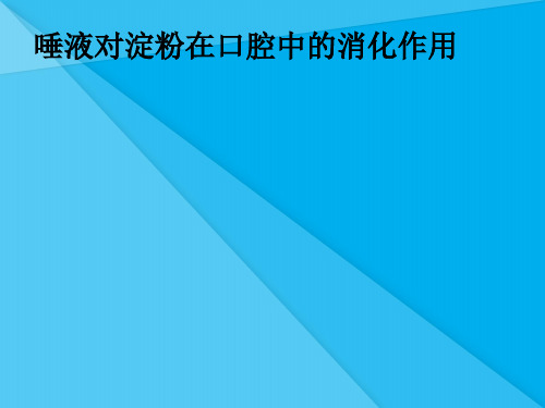 唾液对淀粉在口腔中的消化作用PPT课件 北师大版优秀课件