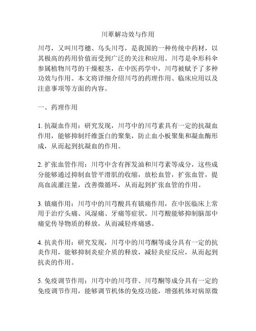 川萆解功效与作用