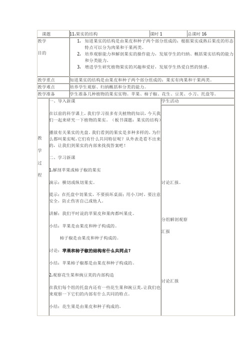 11.果实的结构