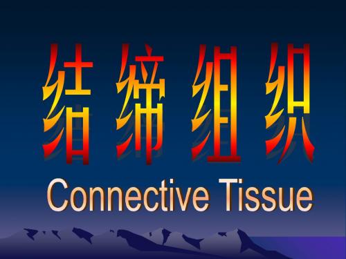03-结缔组织-授课用
