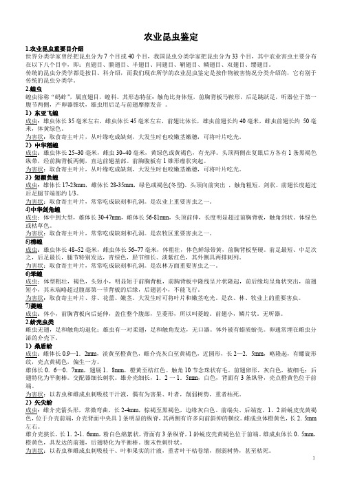 农业昆虫鉴定