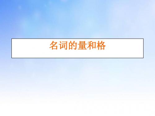 名词的量和格ppt课件演示文稿
