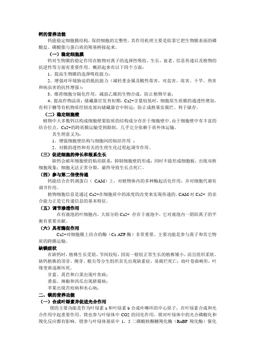 元素功能与缺素症状