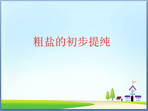 粗盐的提纯