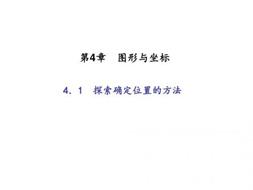 新浙教版七年级数学上册：4.1   用字母表示数 (共23张PPT)