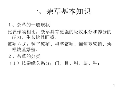 农田杂草识别及防治优秀课件