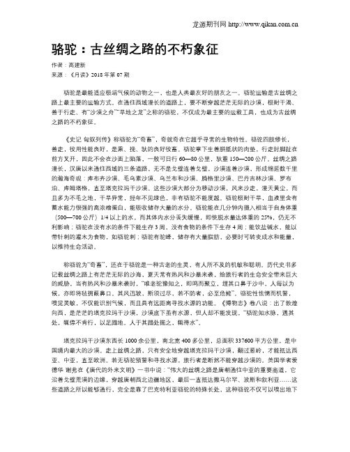 骆驼：古丝绸之路的不朽象征