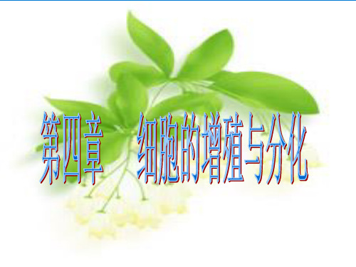 浙教版高中生物必修一：4.1《细胞的增殖》教学课件 (精品内嵌细胞分裂flash动画演示)