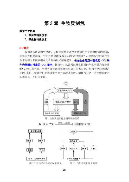 第05章 生物质制氢