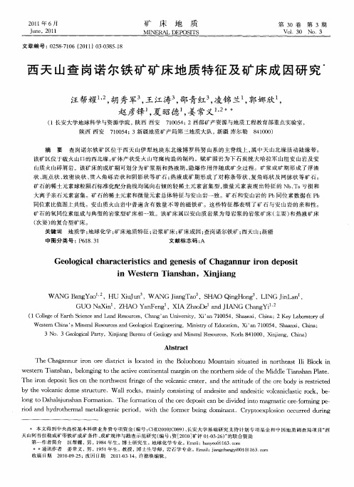 西天山查岗诺尔铁矿矿床地质特征及矿床成因研究