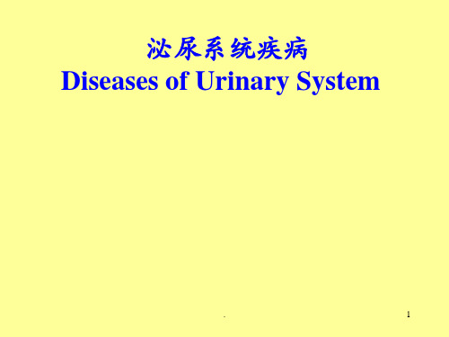 病理学泌尿系统疾病ppt课件ppt演示课件