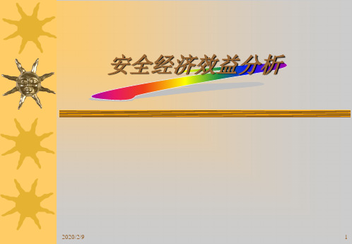 安全经济学.ppt