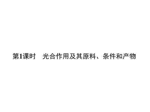 浙教版八年级下册科学3.6 光合作用第1课时 光合作用及其原料、条件和产物