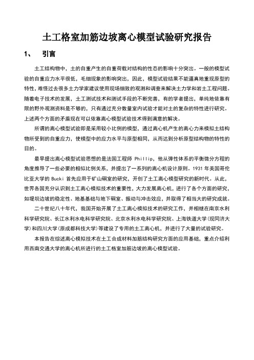 离心模型试验报告