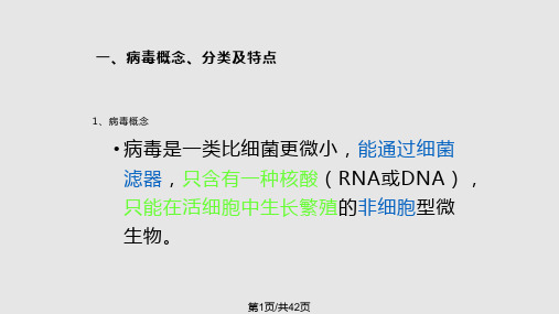 非细胞型微生物的形态结构与分类精美PPT课件