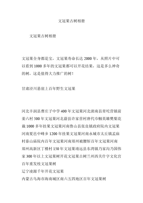 文冠果古树相册