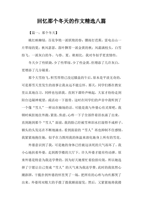 回忆那个冬天的作文精选八篇
