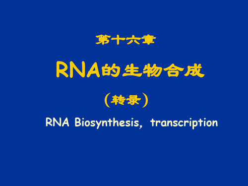 生物化学教学课件-rna biosynthesis.ppt