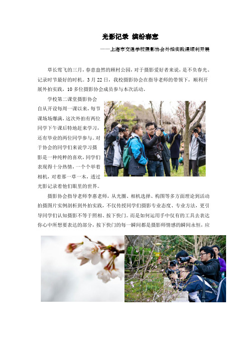 光影记录缤纷春意
