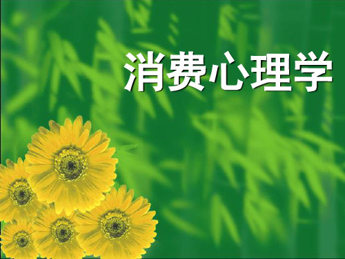 [经管营销]消费心理学绪论