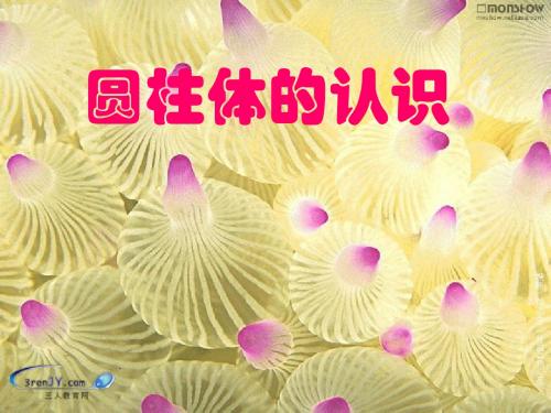 六年级数学下册二、圆柱和圆锥1《圆柱和圆锥的认识》圆柱体的认识 PPT精品课件苏教版