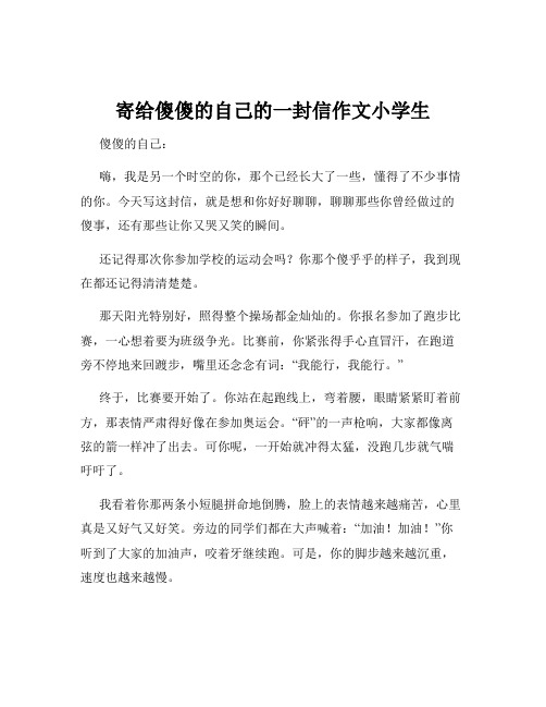 寄给傻傻的自己的一封信作文小学生