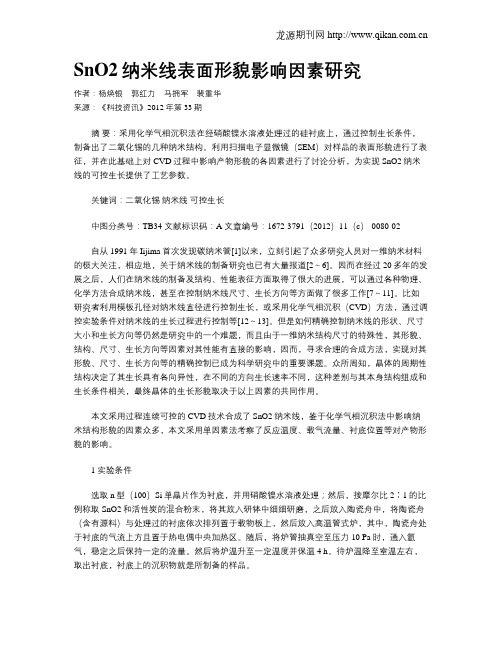 SnO2纳米线表面形貌影响因素研究