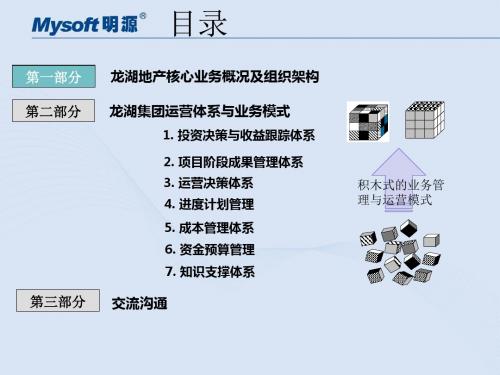 精编龙湖管理案例内训分享课件-71p