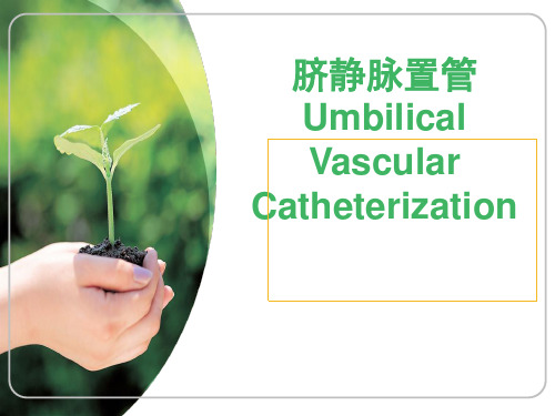 脐静脉置管UVC3.4