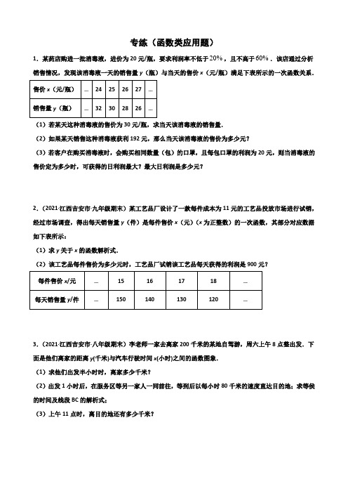 2022年人教版中考数学考点必刷题《函数类应用题》