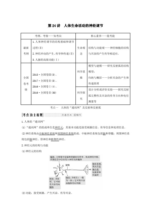 2020版高考生物总复习第八单元第24讲人体生命活动的神经调节教案北师大版必修3