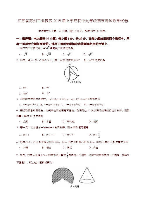 人教版江苏省苏州工业园区2019届上学期初中九年级期末考试数学试卷(含答案)-名校版