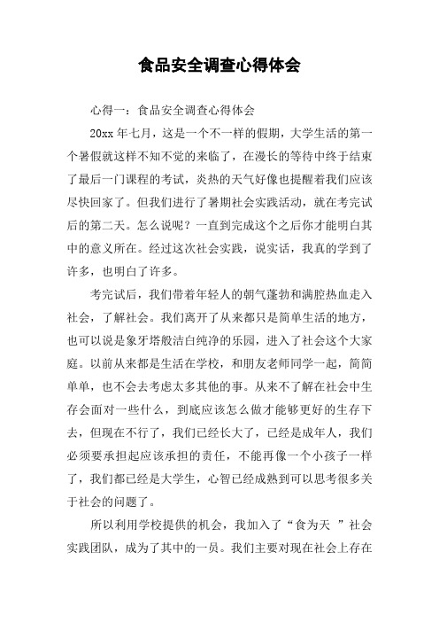 食品安全调查心得体会