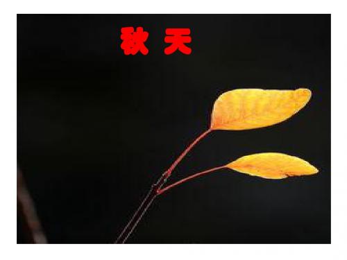 人教版语文七年级上册第14课《秋天》ppt课件1