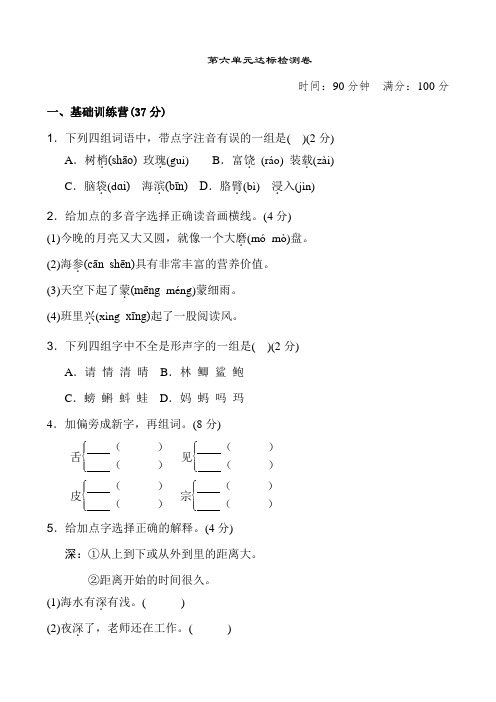 《典中点》第六单元 达标测试卷