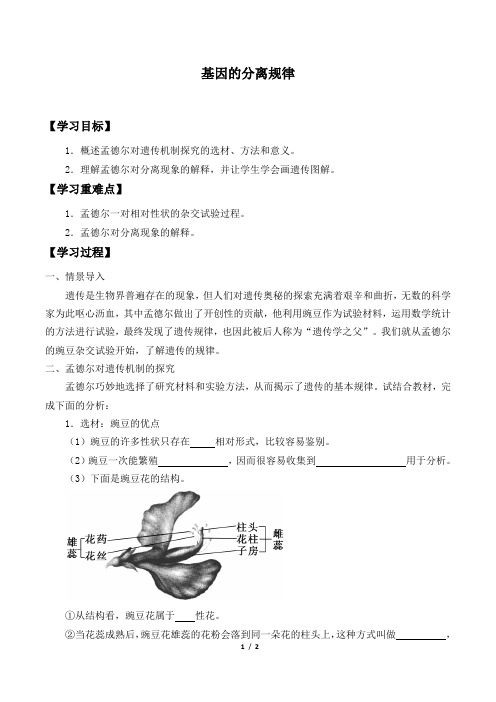 北师大版生物必修2：4.1 基因的分离规律  学案1