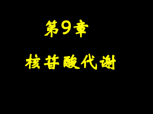 专科(生物化学)第9章 核苷酸代谢