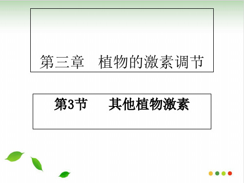 《其他植物激素》人教版高中生物实用PPT