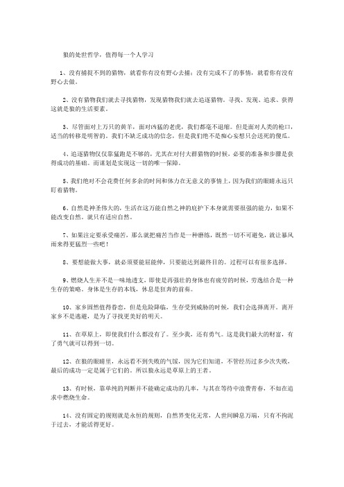 狼的处世哲学,值得每一个人学习