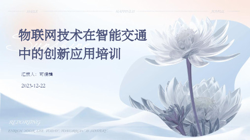 物联网技术在智能交通中的创新应用培训ppt