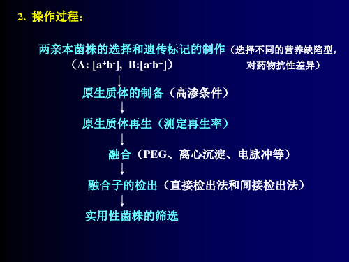 原核生物的基因重组(2)_PPT幻灯片