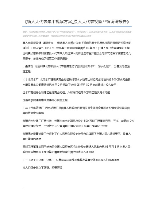 镇人大代表集中视察方案_县人大代表视察镇调研报告