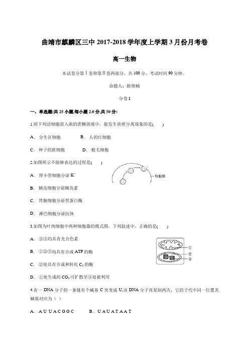 曲靖市麒麟区三中2017-2018学年度上学期3月份月考卷(高一生物)