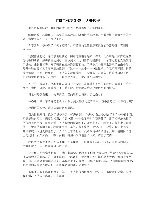 【初二作文】爱,从未远去