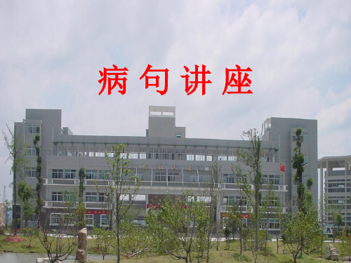 《高考复习病句讲座一：语序不当》课件(89张PPT)
