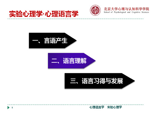 实验心理学 第十二章——心理语言学——第2部分